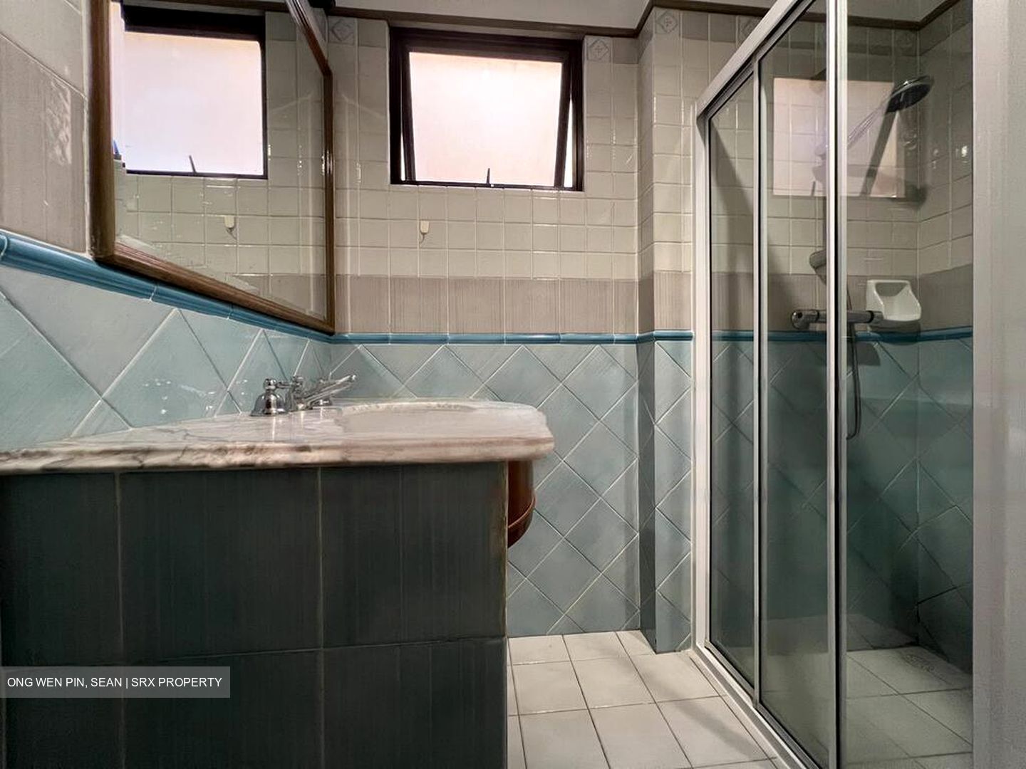 Dover Parkview (D5), Condominium #469182661
